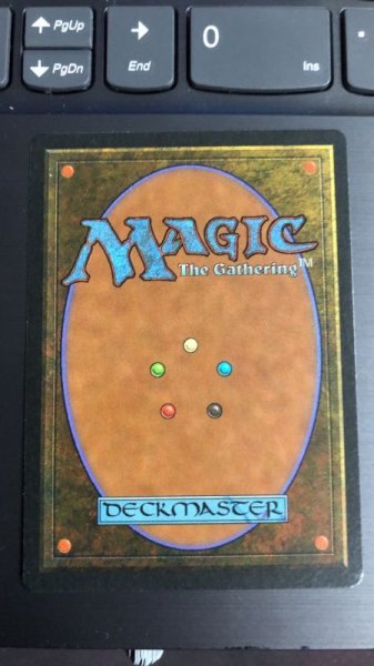 画像2: (実物写真アリ)(LEG)土地 Karakas (2)