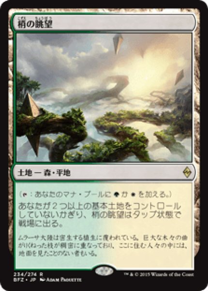 画像1: Foil(BFZ)土地　梢の眺望(R) (1)