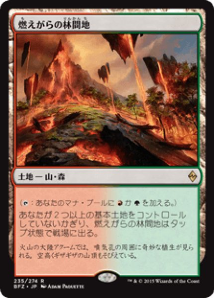 画像1: Foil(BFZ)土地　燃えがらの林間地(R) (1)