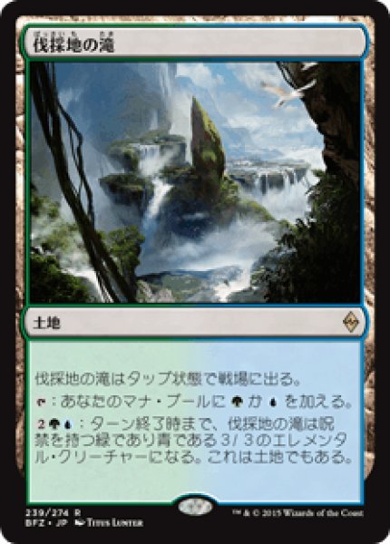 画像1: (BFZ)土地　伐採地の滝(R) (1)