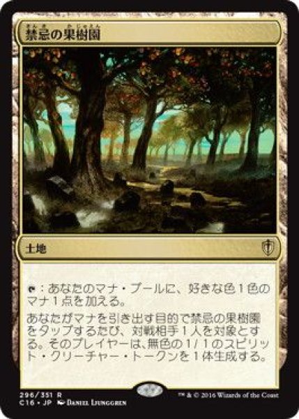 画像1: (C16)土地　禁忌の果樹園(R)296 (1)