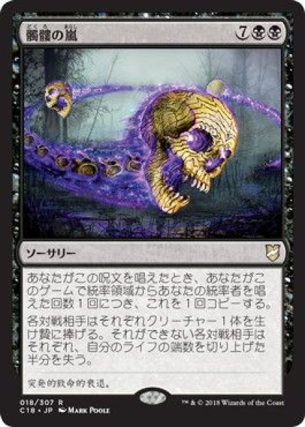画像1: (C18)黒　髑髏の嵐(R) (1)