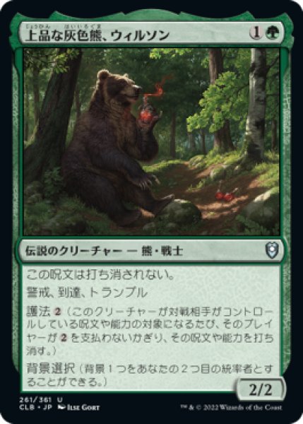 画像1: (CLB)緑　上品な灰色熊、ウィルソン(U) (1)
