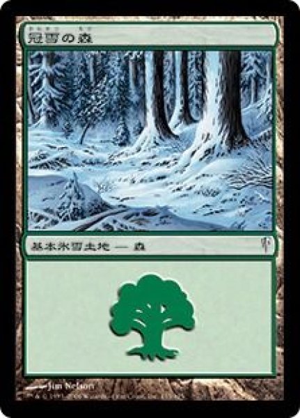 画像1: (CSP)土地　冠雪の森(L)155 (1)