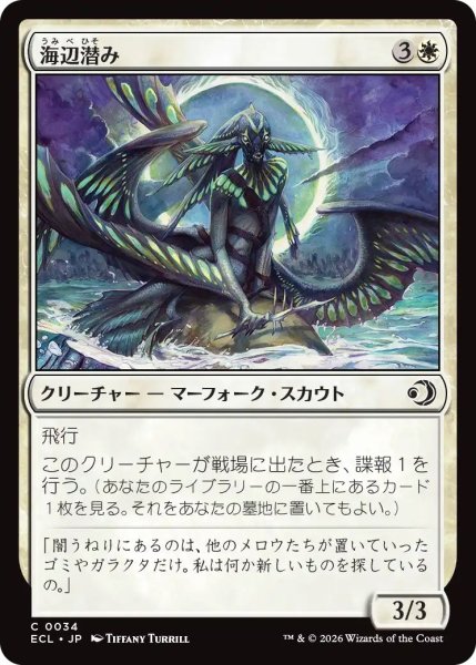 画像1: (ECL)白　 海辺潜み(C) (1)