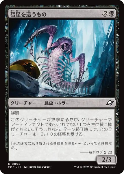 画像1: (EOE)黒　彗星を這うもの(C) (1)