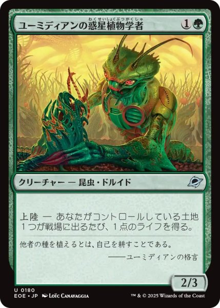 画像1: (EOE)緑　ユーミディアンの惑星植物学者(U) (1)