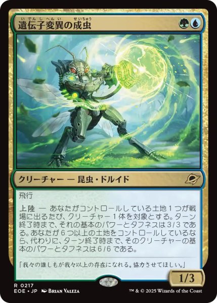 画像1: (EOE)多　遺伝子変異の成虫(R) (1)