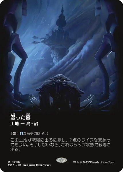 画像1: (EOE)土地　湿った墓(R)286 (1)