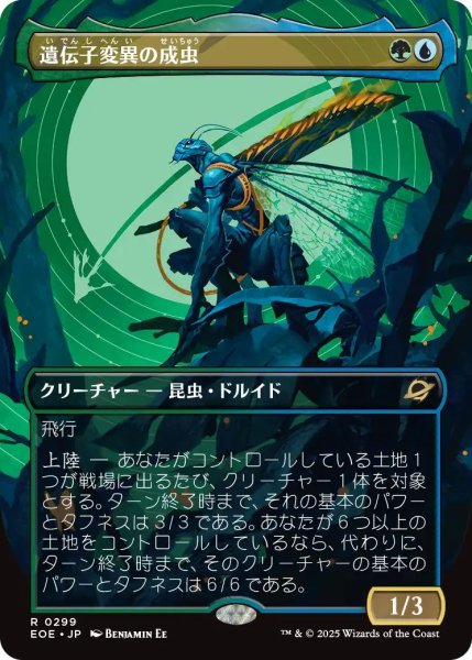 画像1: (EOE)多　遺伝子変異の成虫(R)299 (1)