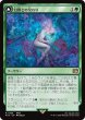 画像1: (FIN)緑　幻獣との交わり(R) (1)