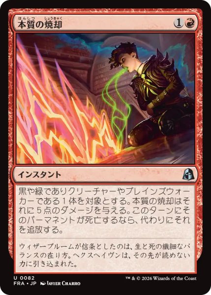 画像1: (FRA)赤　本質の焼却(U) (1)