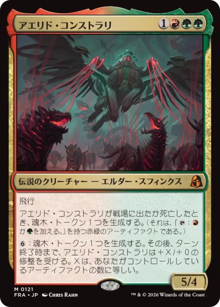 画像1: (FRA)多　アエリド・コンストラリ(M) (1)