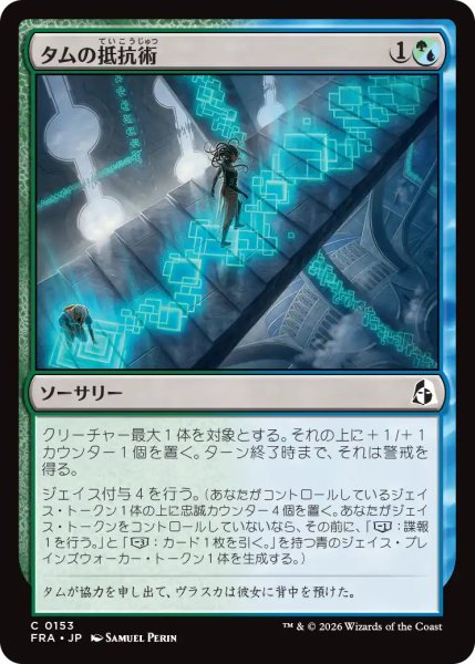 画像1: (FRA)混　タムの抵抗術(C) (1)