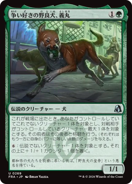 画像1: (FRA)緑　争い好きの野良犬、義丸(U) (1)