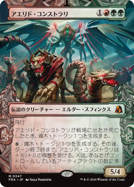 画像1: (FRA)多　アエリド・コンストラリ(M)347 (1)