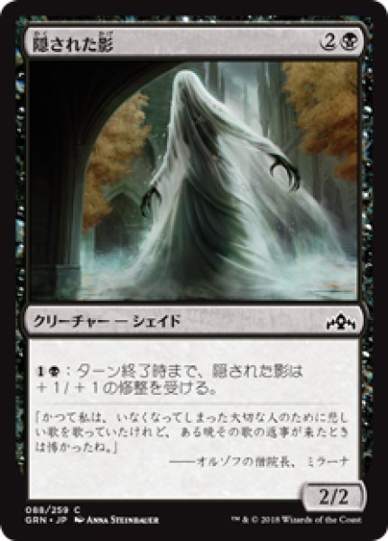 画像1: (GRN)黒　隠された影(C) (1)