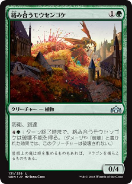 画像1: (GRN)緑　絡み合うモウセンゴケ(U) (1)