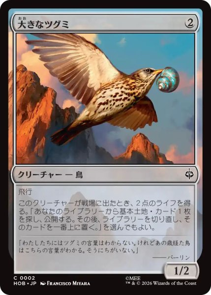 画像1: (HOB)無　大きなツグミ(C) (1)