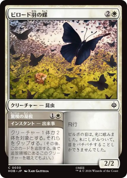 画像1: (HOB)白　ビロード羽の蝶(C) (1)