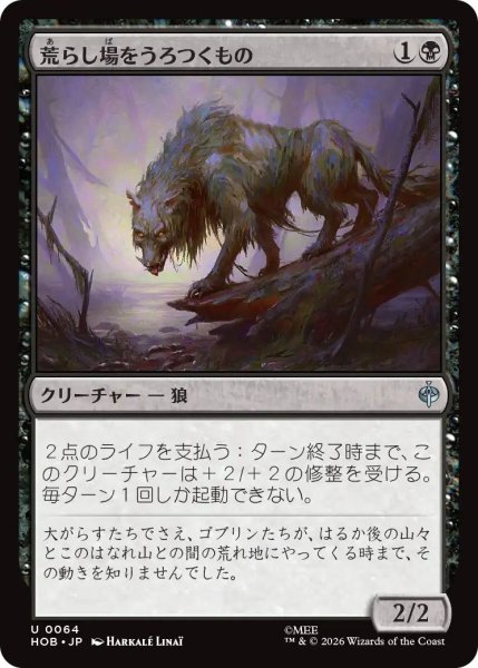 画像1: (HOB)黒　荒らし場をうろつくもの(U) (1)