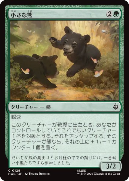 画像1: (HOB)緑　小さな熊(C) (1)