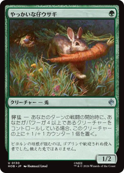 画像1: (HOB)緑　やっかいな仔ウサギ(U) (1)