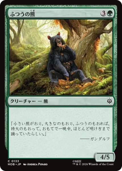 画像1: (HOB)緑　ふつうの熊(C) (1)
