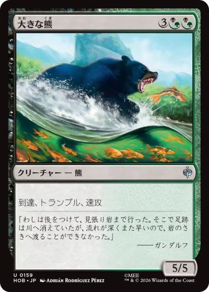 画像1: (HOB)混　大きな熊(U) (1)