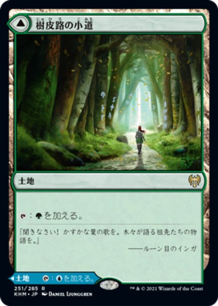 画像1: (KHM)土地　樹皮路の小道(R) (1)