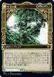 画像2: (KHM)緑　樹の神、エシカ(M(絵違い)) (2)