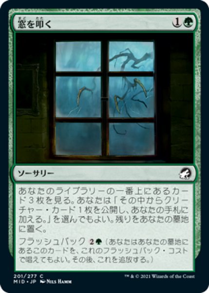 画像1: (MID)緑　窓を叩く(C) (1)