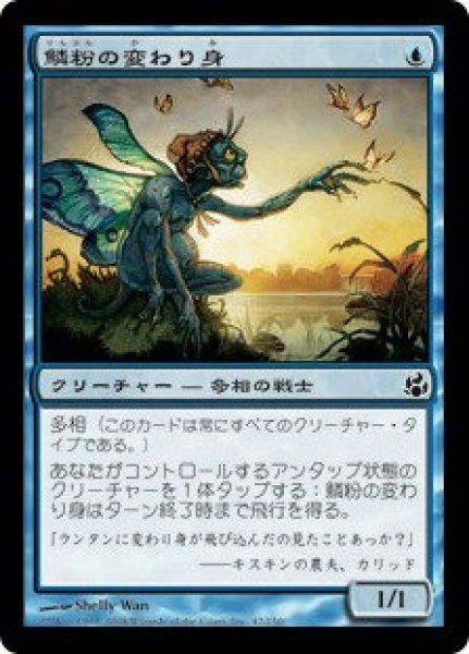 画像1: (MOR)青　鱗粉の変わり身(C)042 (1)