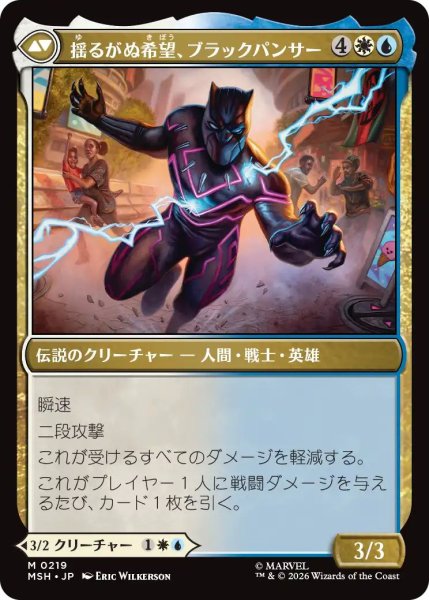 画像2: (MSH)多　ティ・チャラ王(M) (2)
