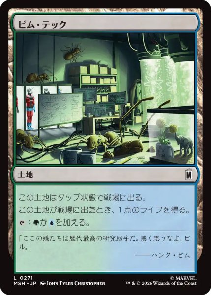 画像1: (MSH)土地　ピム・テック(L) (1)