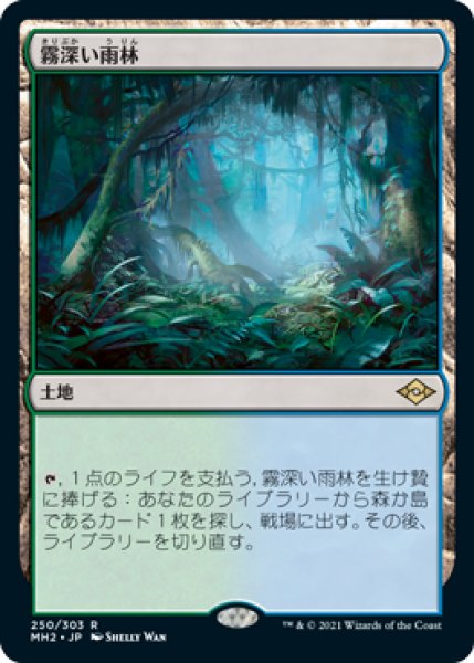 画像1: (MH2)土地　霧深い雨林(R) (1)