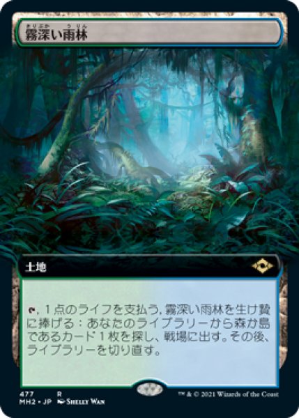 画像1: (MH2)土地　霧深い雨林(R)(絵違い)477 (1)