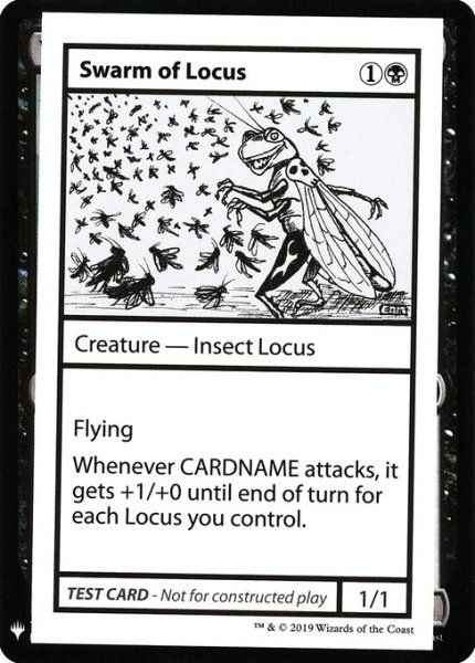 画像1: (MB1)黒　Swarm of Locus (1)