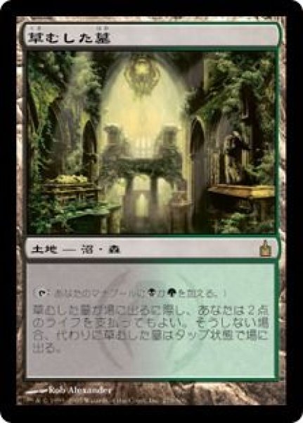 画像1: EX-(RAV)土地　草むした墓(R)279 (1)