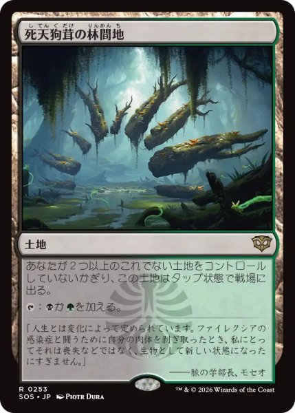 画像1: (SOS)土地　死天狗茸の林間地(R) (1)