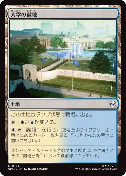 画像1: (SPM)土地　大学の敷地(L) (1)