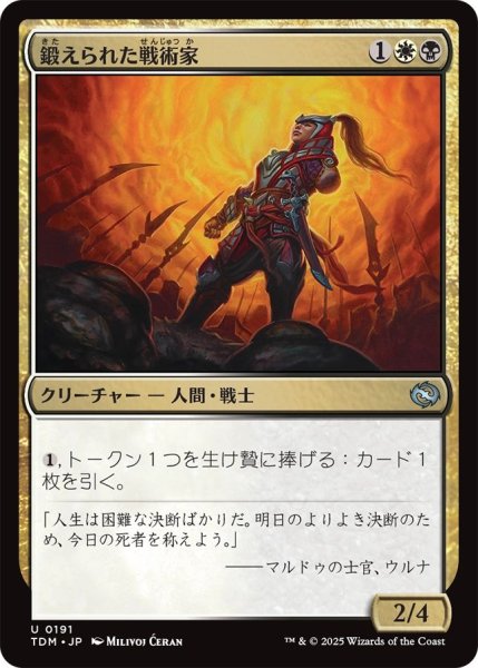 画像1: (TDM)多　鍛えられた戦術家(U) (1)