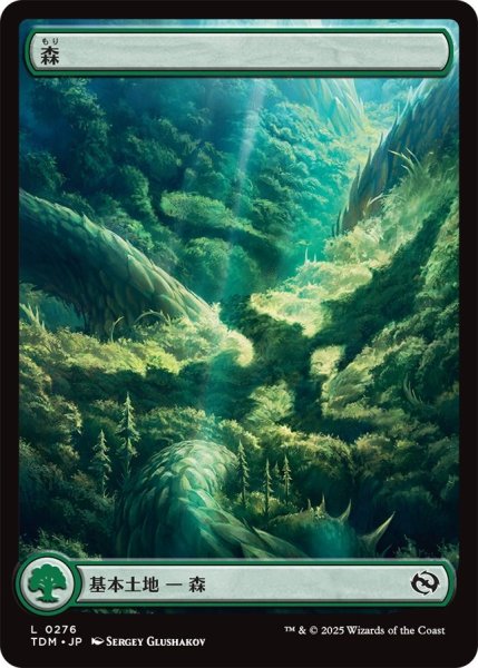 画像1: Foil(TDM)土地　森(L)276 (1)
