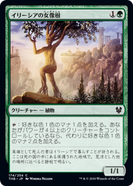 画像1: (THB)緑　イリーシアの女像樹(C) (1)