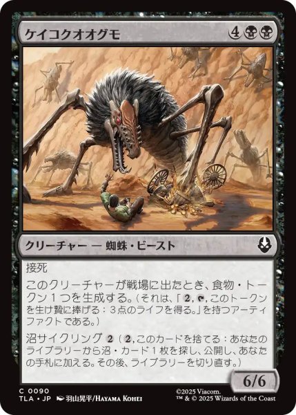 画像1: (TLA)黒　ケイコクオオグモ(C) (1)