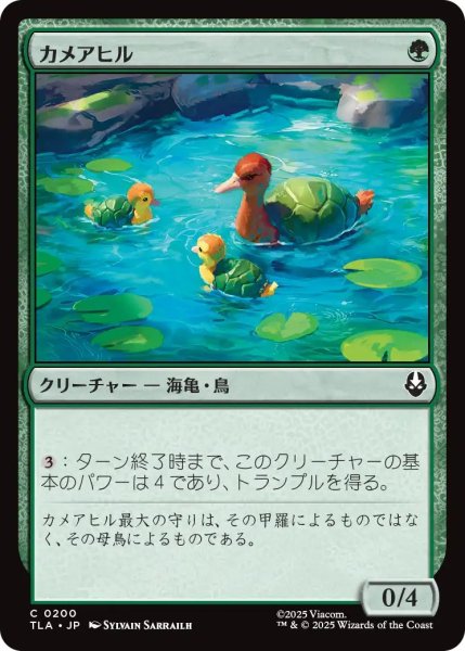 画像1: (TLA)緑　カメアヒル(C) (1)