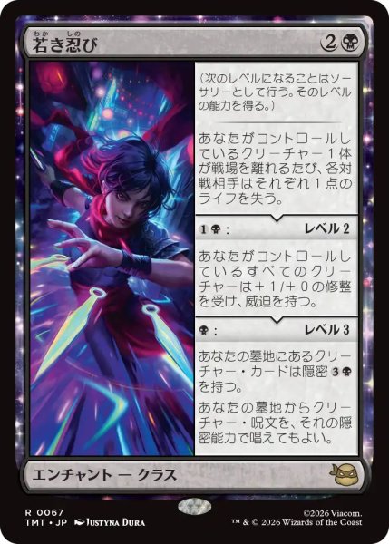 画像1: (TMT)黒　若き忍び(R) (1)