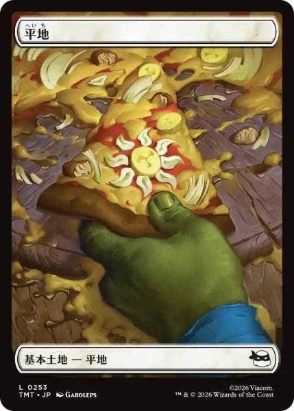 画像1: Foil(TMT)土地　平地(L)253 (1)
