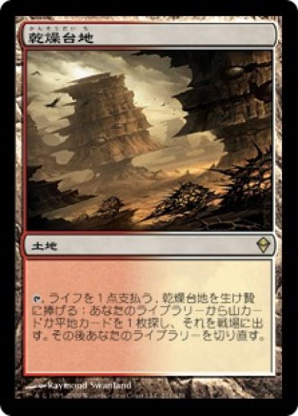画像1: NM-(ZEN)土地　乾燥台地(R)211 (1)