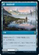画像2: (ZNR)青　玻璃池のミミック(R) (2)